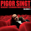 Berlin Airport - Pigor singt - Benedikt Eichhorn muss begleiten