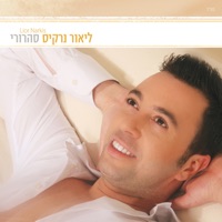 Lior Narkis - המלכה שלי