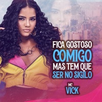 Fica Gostoso Comigo Mais Tem Que Ser no Sigilo - Single - Mc Vick & DJ Jhonzinho