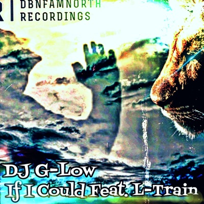 If I Could (feat. L-Train) - Single