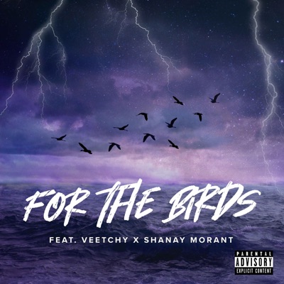For The Birds (feat. Veetchy & Shanay Morant) - Single