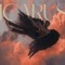 Icarus - GRANT KNOCHE lyrics