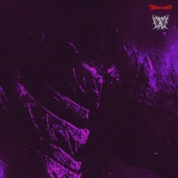 Chaos - Single - BXNOSTOWN & IMMORTAL GHXST