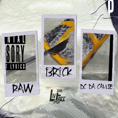 Raw Brick - Single
