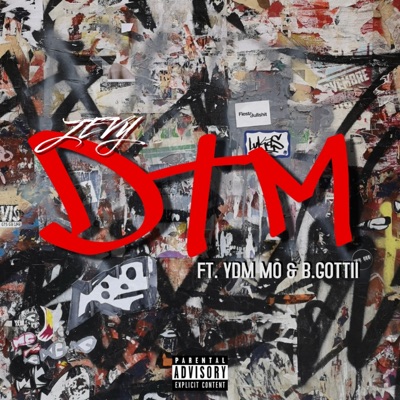 DTM (feat. YDM Mo & B.Gottii) - Single