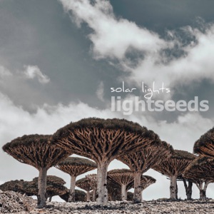 Solar Lights - Single