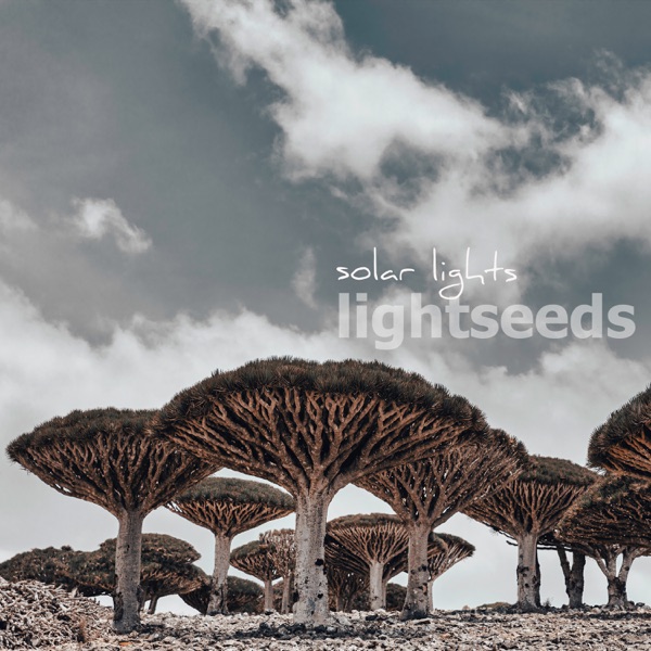 Solar Lights - Single