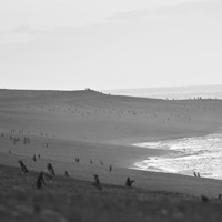 ADC - Single - Iván Reich, Dabow & Julieta Diorio