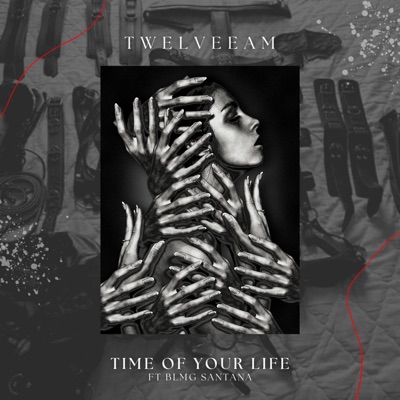 Time of your life (feat. BlmgSantana) - Single