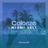 Colorize Miami 2017, 2017