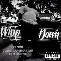 Whip Down (feat. Flo Darese & YoungCamThaStar) - Single - Flood