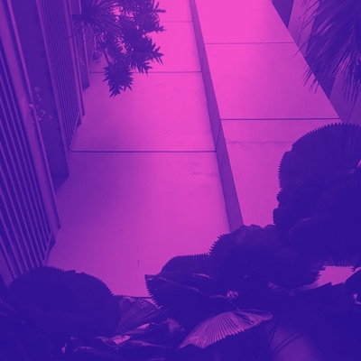 Wiggle (Instrumental) - Single