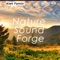 Nature Sound Forge - Aleh Famin lyrics