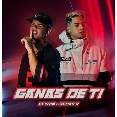 Ganas de ti (feat. Sebas R) - Single