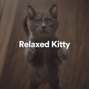 Relaxed Kitty