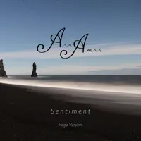 Sentiment - Yoga Version — Ara Amar