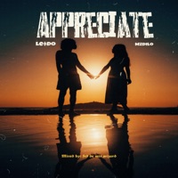 Appreciate (feat. Mzdilo) - Single - Lesdo