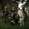 Path of the Wolf - Single