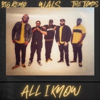 All I Know (feat. Big Remo & the HamilTones) - Single - Wals