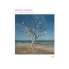 Youssef Dhafer Fly (feat. ALESSANDRO MONTEDURO, Mirko Signorile, Dhafer Youssef, Bonnot & Marco D'Orlando) Anì (feat. ALESSANDRO MONTEDURO, Mirko Signorile, Bonnot & Marco D'Orlando)