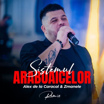 Sistemul Araboaicelor (Remix) - Single