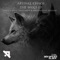 The Black Wolf (Casual Treatment Remix) - Abyssal Chaos lyrics