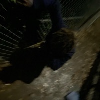 We were younger (Obstacles remix) - Single - Ajnextdoor