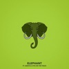 Elephant (feat. Anoyd & Jitta On the Track) - Single