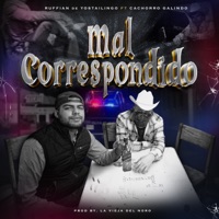 Mal Correspondido (feat. Cachorro Galindo & Ruffian De Yostailingo) - Single - La Vieja del Noro
