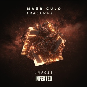 Thalamus - Single
