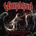 Thrash 'til Death