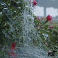 Rote Rosen - Single - Yung Vision & Young Lime