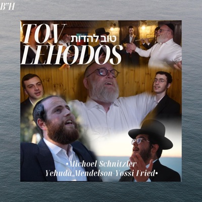 Tov Lehodos - Single