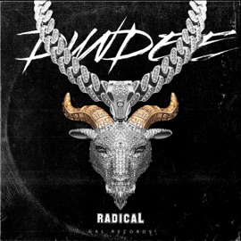 UFO (feat. GAL) radicaL.