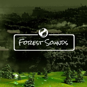 Tropical Terrain - EP