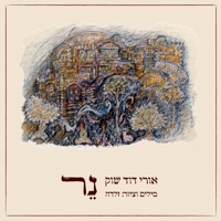 נר - Single - אורי דוד שוק