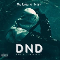 D.N.D (feat. Scopy) - Single - Mr Pafta
