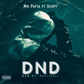 D.N.D (feat. Scopy) Mr Pafta