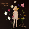 Oh Quiet World - David Berkeley new Single