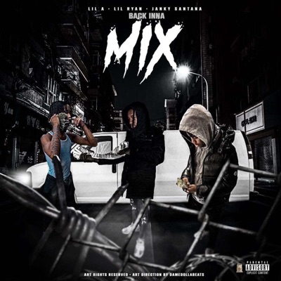 back inna mix (feat. JankySantana & LilA) - Single