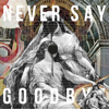 NEVER SAY GOODBYE (feat. Mummy-D) - ALI