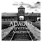 Adagio per le vittime di Auschwitz artwork