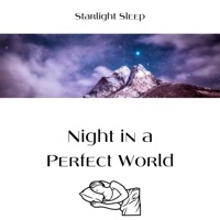 Night in a Perfect World - Starlight Sleep