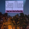 Sleep Music: Calming Tones to Relax Your Mind and Body