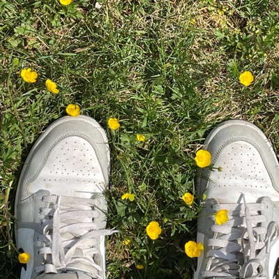 Everyone Hates Me. - Single