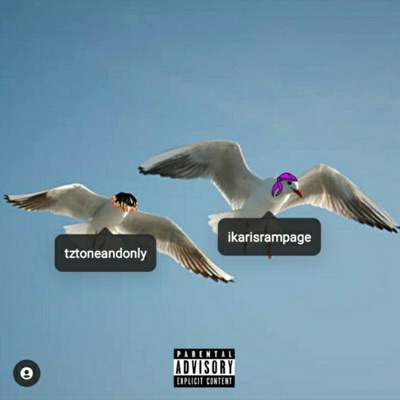 B!RDSH!T! (feat. TZT) - Single