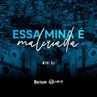 Essa Mina É Malcriada - Single - Mini Dj