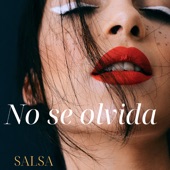 Mató Mi Corazón - Salsa Version artwork