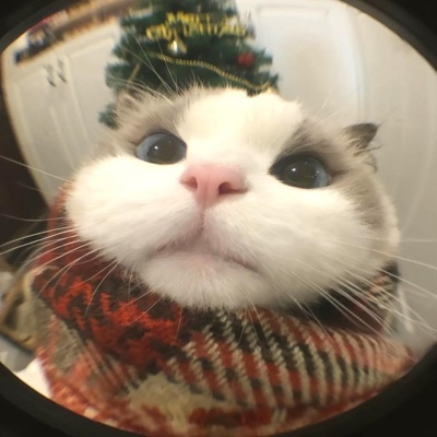 Nguyen Van Hung - One Last Time 珊瑚海