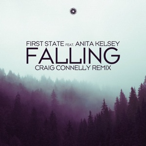 Falling (feat. Anita Kelsey) [Craig Connelly Extended Remix]